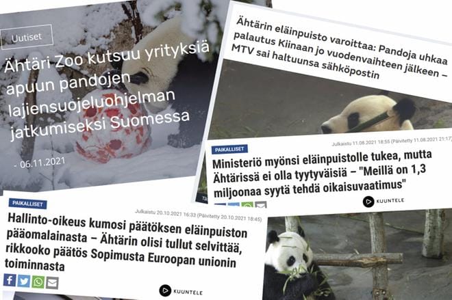 Ähtäri Zoon hallituksen puheenjohtaja vakuuttaa, että heillä on kova tahto pitää pandat Lumi ja Pyry Ähtärissä.