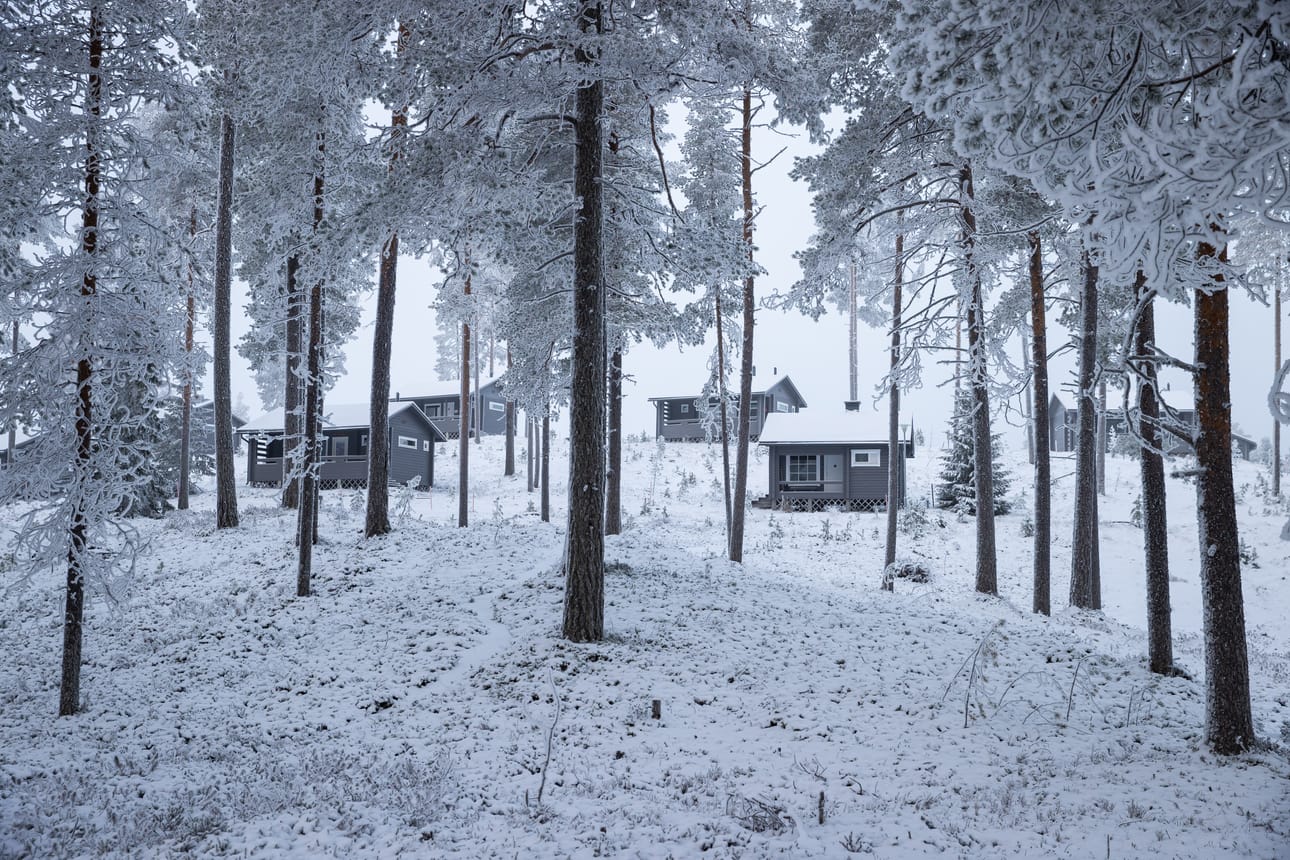 Taivalkosken matkailun valtteja ovat rauha, hiljaisuus ja luonnonläheisyys. Talvisen metsän keskellä lomailu ilman suurempia huveja ja aktiviteetteja on elämys etenkin ulkomaalaisille. Kuva on Kylmäluoman retkeilyalueelta viime marraskuulta.