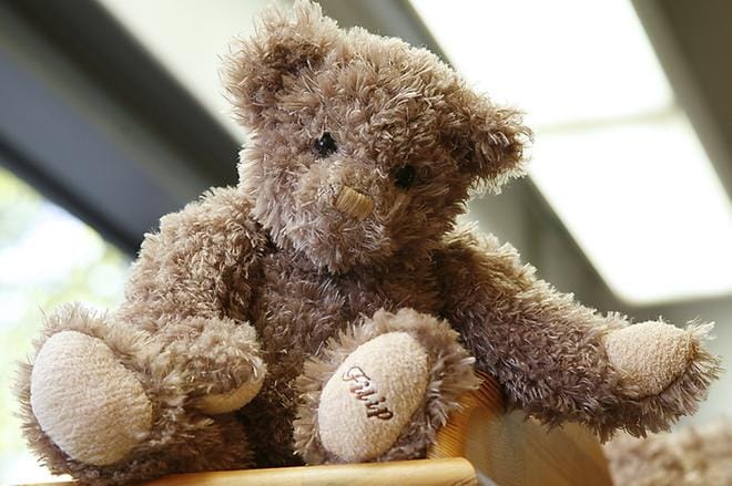 Nallet pääsevät esimerkiksi tarkastelemaan palautusautomaatin toimintaa.