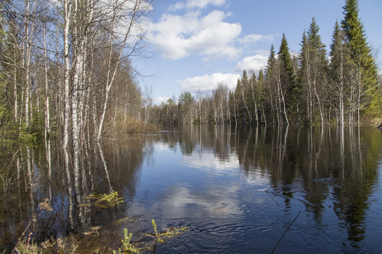 Karhunkierroksella on nyt tulva. Arkistokuva Koutajoelta. Turvallisinta on mennä patikoimaan hieman myöhemmin keväällä.