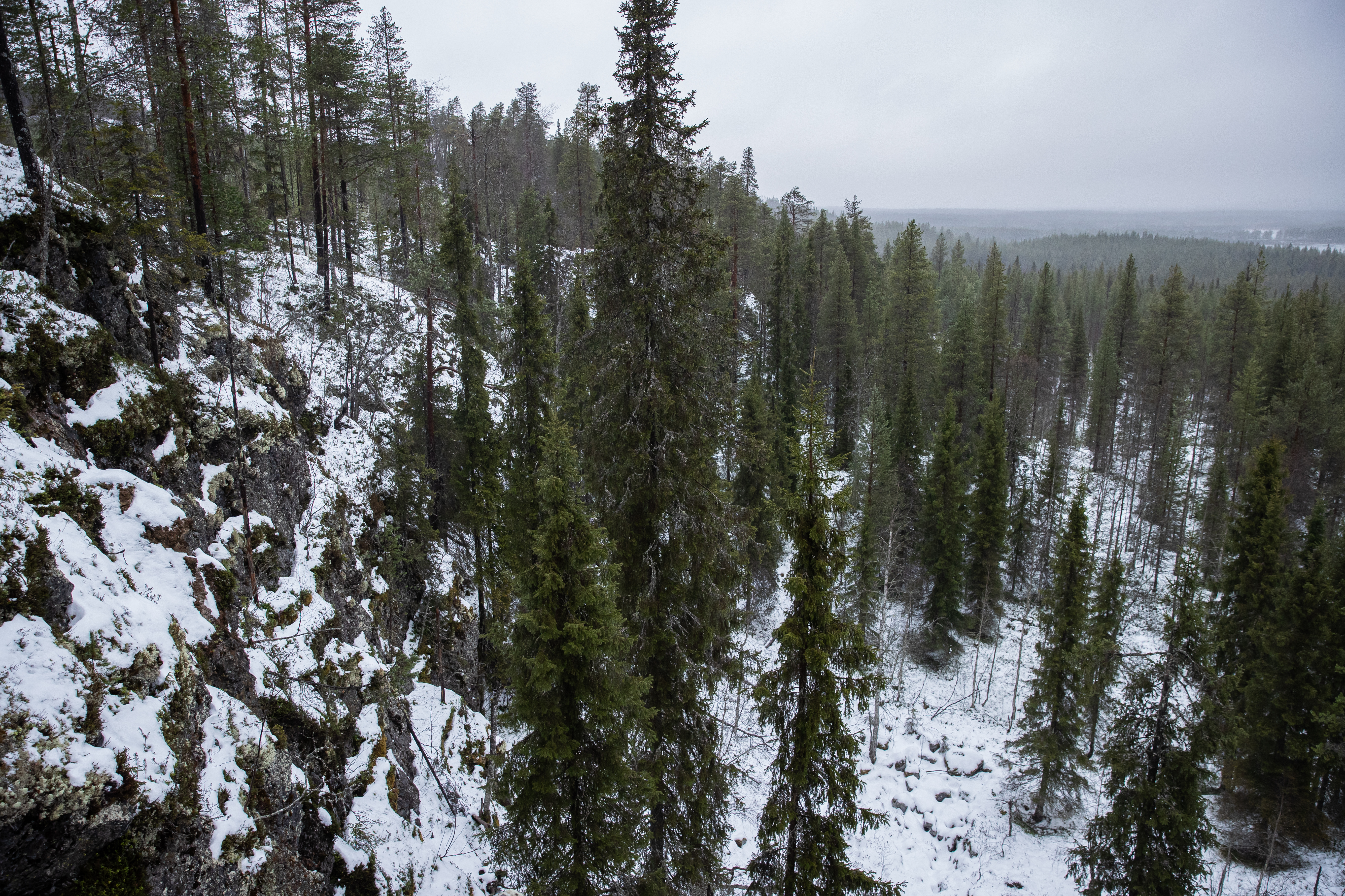 Halosen uuni sijaitsee tämän jyrkänteen juurella. Alas täytyy kiertää hieman loivempaa reittiä pitkin.