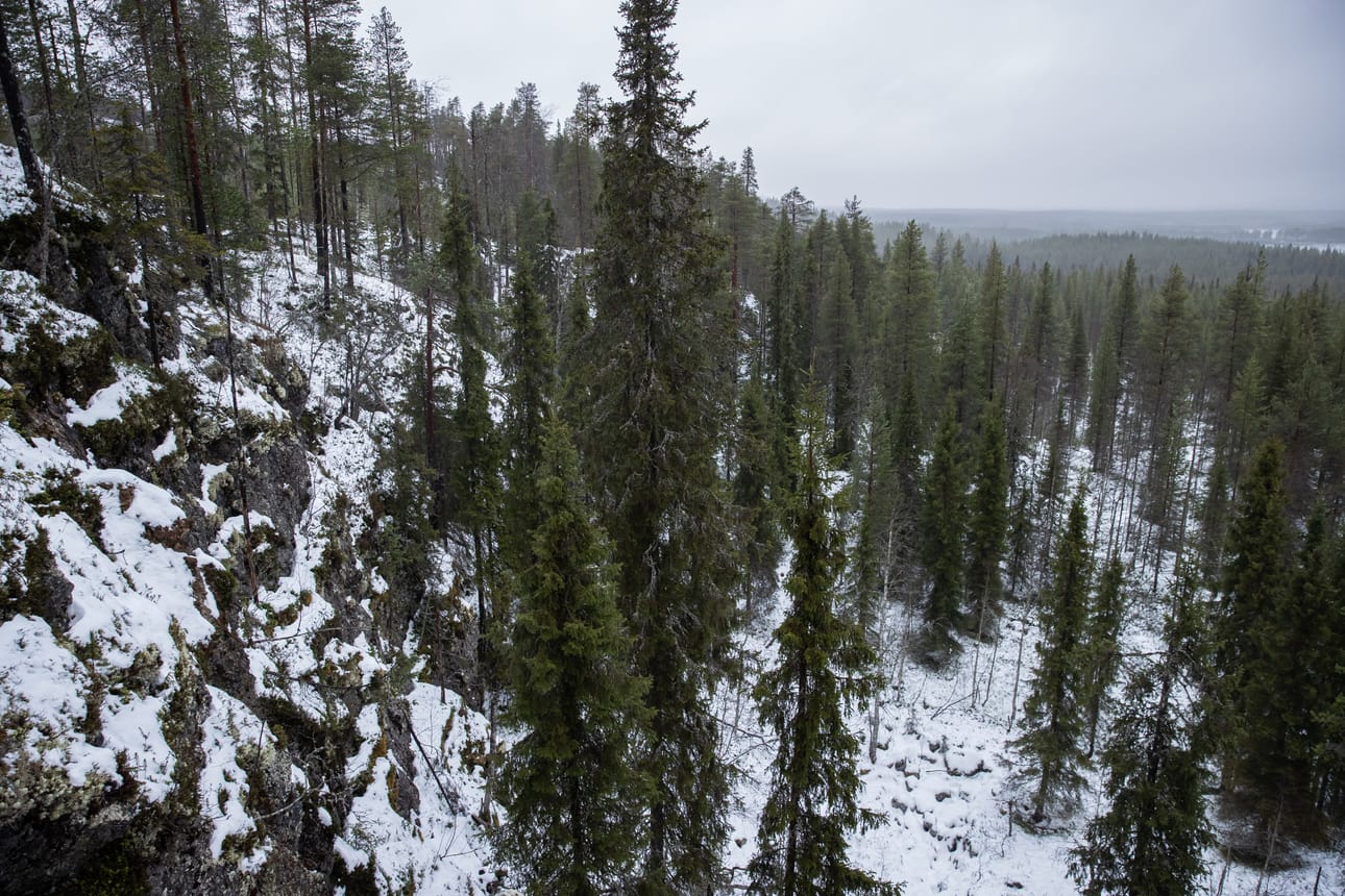 Halosen uuni sijaitsee tämän jyrkänteen juurella. Alas täytyy kiertää hieman loivempaa reittiä pitkin.