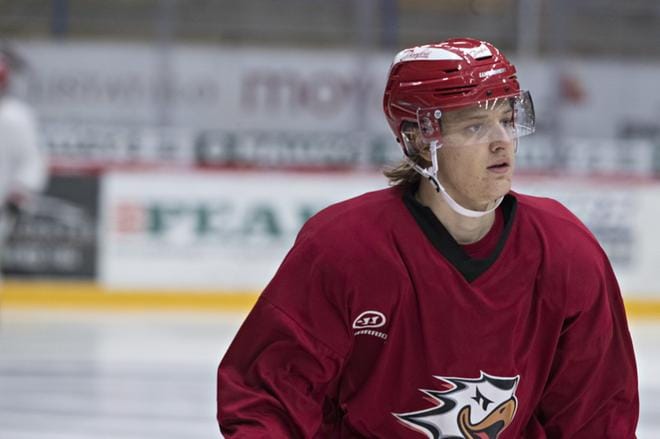 Tony Sund saa NHL-mahdollisuuden San Jose Shaksissa. KUVA: MINNA ANTILA