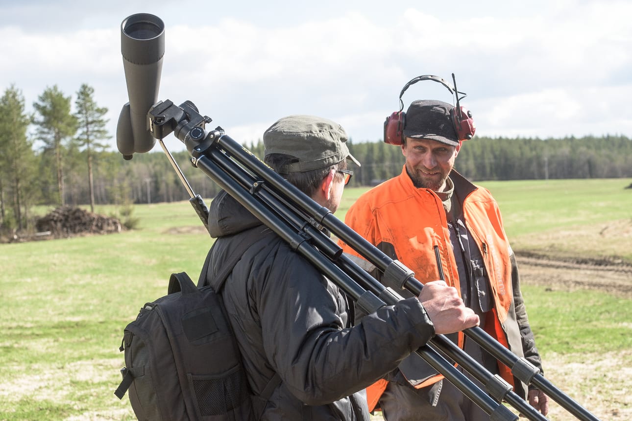 Jouni Ronkainen etsiskeli paksujalkaa Timo Törmäsen pelloilta, mutta lintu onnistui piileksimään.