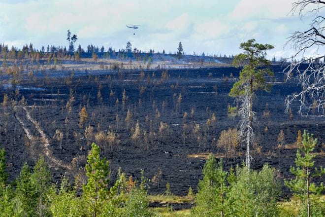 Suomalaispelastajat auttavat metsäpalojen sammutuksessa Keski-Ruotsissa. Palava maasto on osin vaikeakulkuista sekametsää. Kuva: EPA/Maja Suslin
