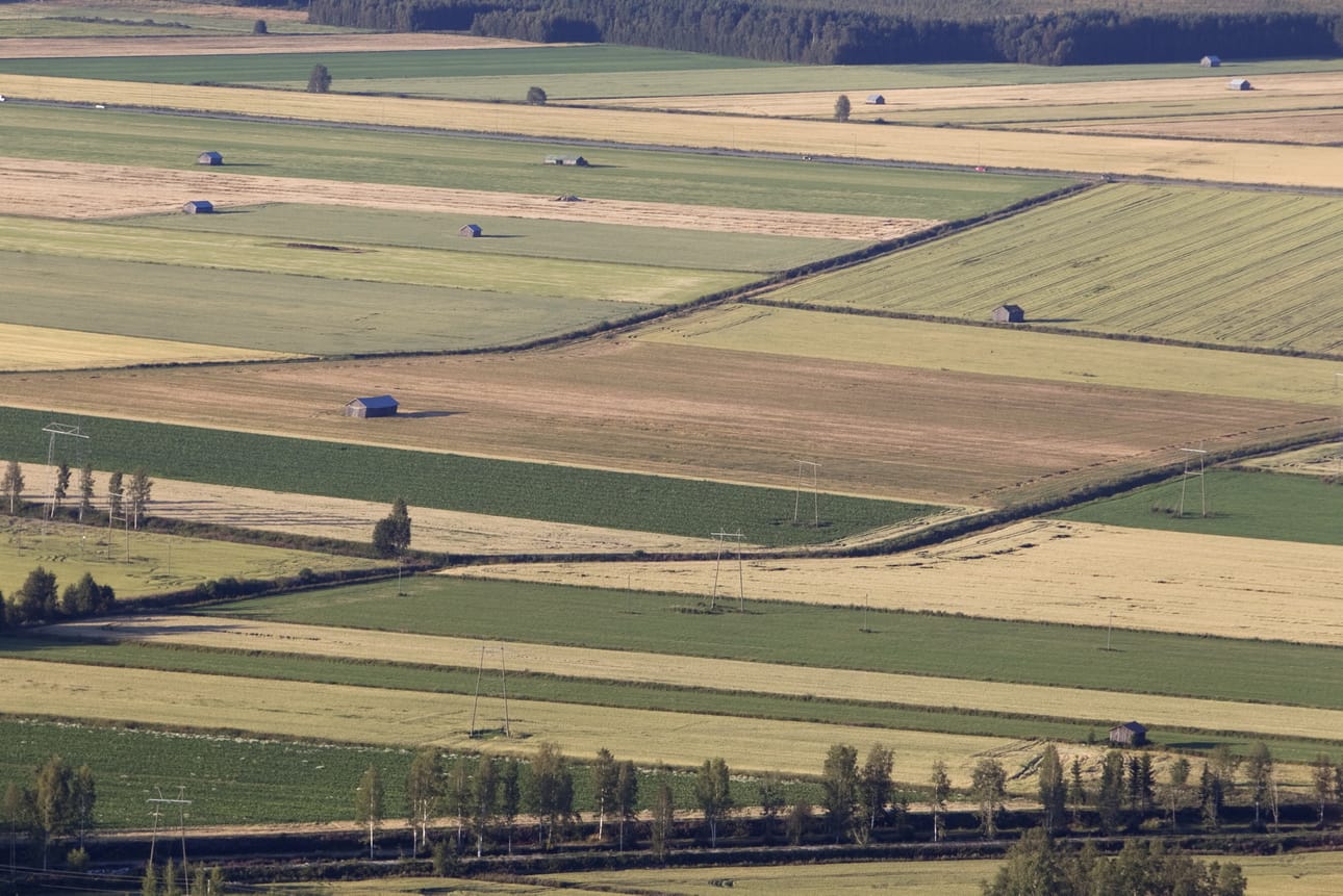 Maanviljelijöiden neuvonta uudistuu vuodenvaihteessa Pohjalaismaakunnissa. Arkistokuva.