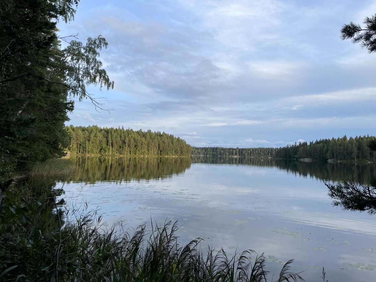 Nimikkojärven lisäksi Pukalan maisemaa täplittävät lukuisat pienemmät järvet. Kuvassa Iso-Musturi.