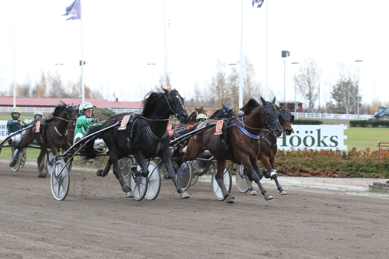 Ari Moilasen ohjastama Consalvo nousi voitti St. Legerin finaalissa.