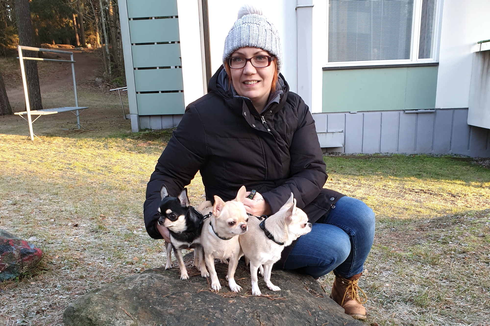 Tuire Mainio on menestynyt chihuahua-kouluttaja ja kasvattaja: Uusi minä löytyi koirien kautta