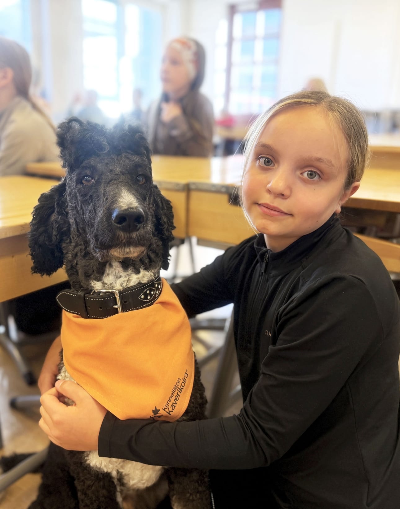 Isovillakoira Ossi on hallitsee niin halimisen kuin poseeraamisenkin. Oranssi huivi on Aliina Honkaniemelle ja muille merkki siitä, että Ossi on kaverikoira.