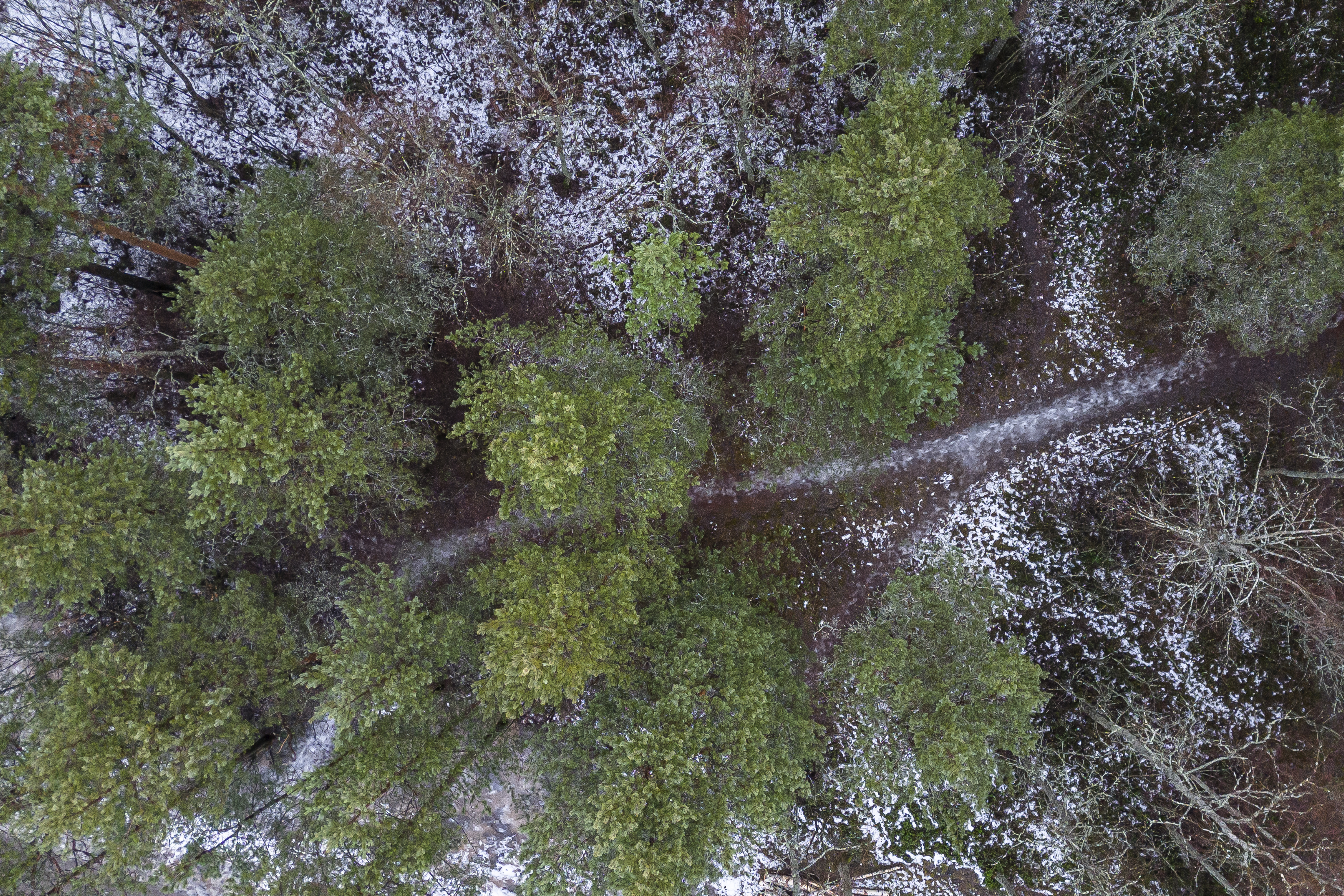 Kuka kantaisi vastuun luonnon suojelemisesta? – ennen kaikkea vaaditaan poliittista vastuunkantoa