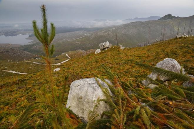 Investointeja Afrikan metsitykseen perusteellaan myös työn ja toimeentulon luomisella Afrikan maaseudulle. KUVA: STR / EPA