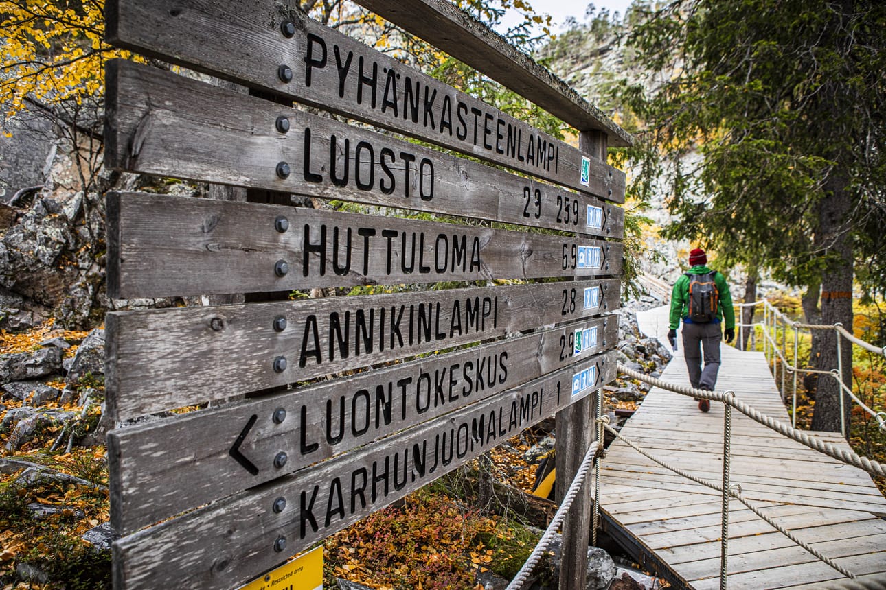 Pyhä-Luoston kansallispuisto on yksi Lapin monista kansallispuistoista. Kuvituskuva.