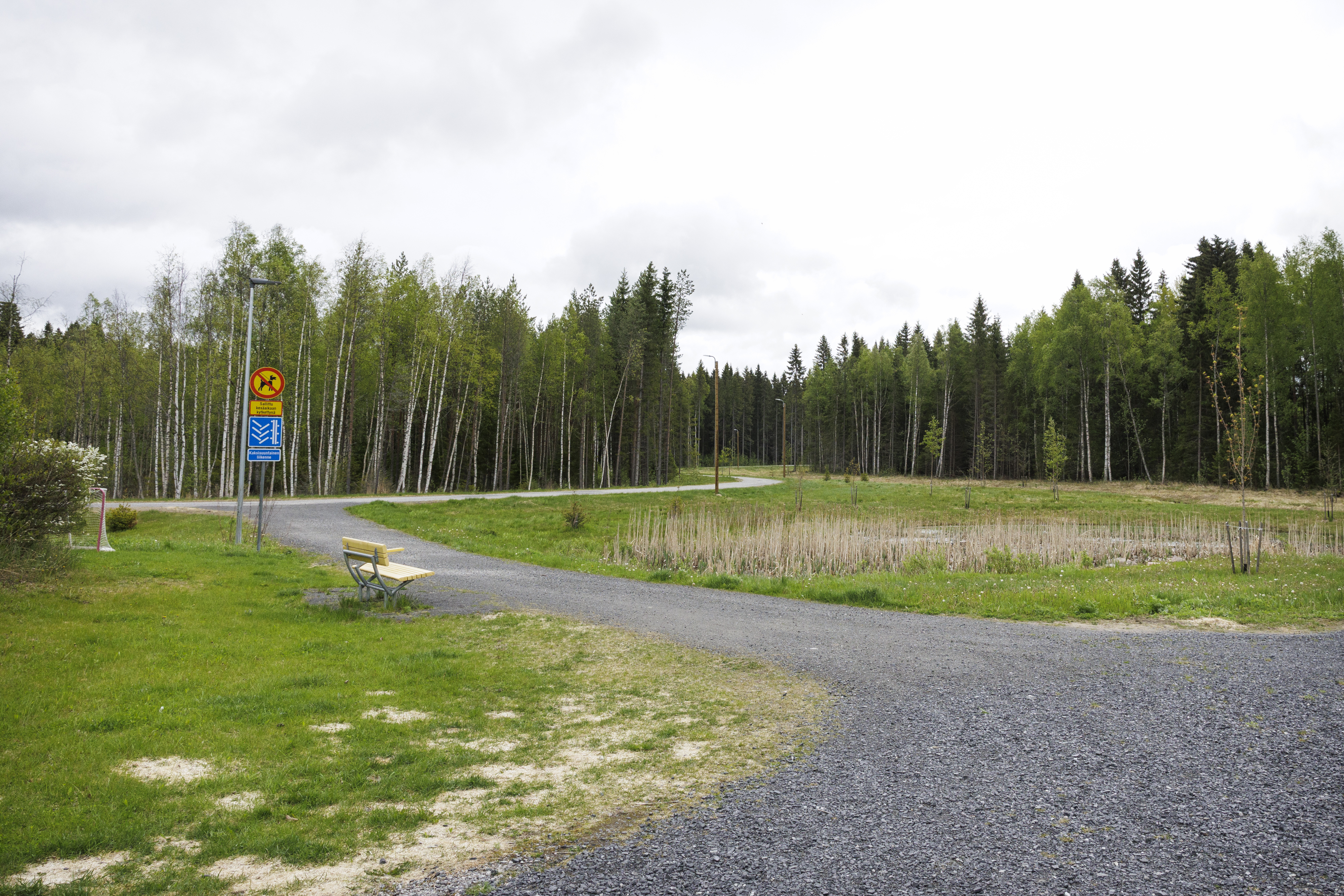 Hiirosen ja Tahkokankaan maisemista pääsee metsän suojissa sisämaan selkosia ja soita kohti.