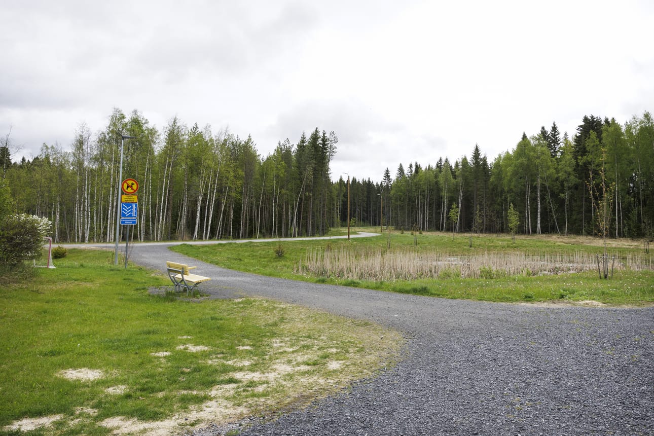 Hiirosen ja Tahkokankaan maisemista pääsee metsän suojissa sisämaan selkosia ja soita kohti.