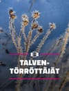 Talventörröttäjät ovat ihana tekosyy talviselle retkelle – Katso vinkit niiden löytämiseen