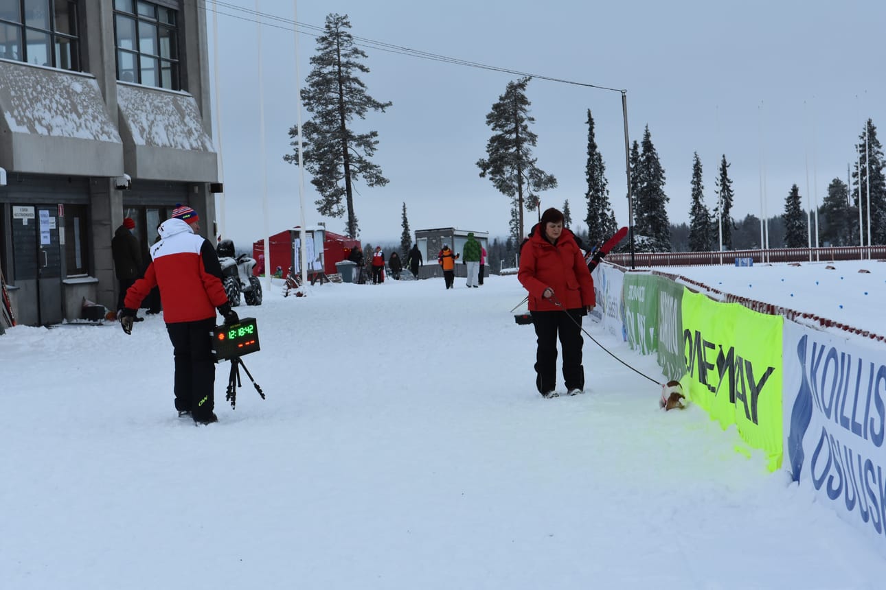 Lähetyslaitetta kantanut Seppo Linjakumpu (vas.) kiirehti kisakansliaan. –Hyvin meni, sain kaikki hiihtäjät matkaan, hän huikkasi. Heljä Manninen ulkoilutti Tyyneä.