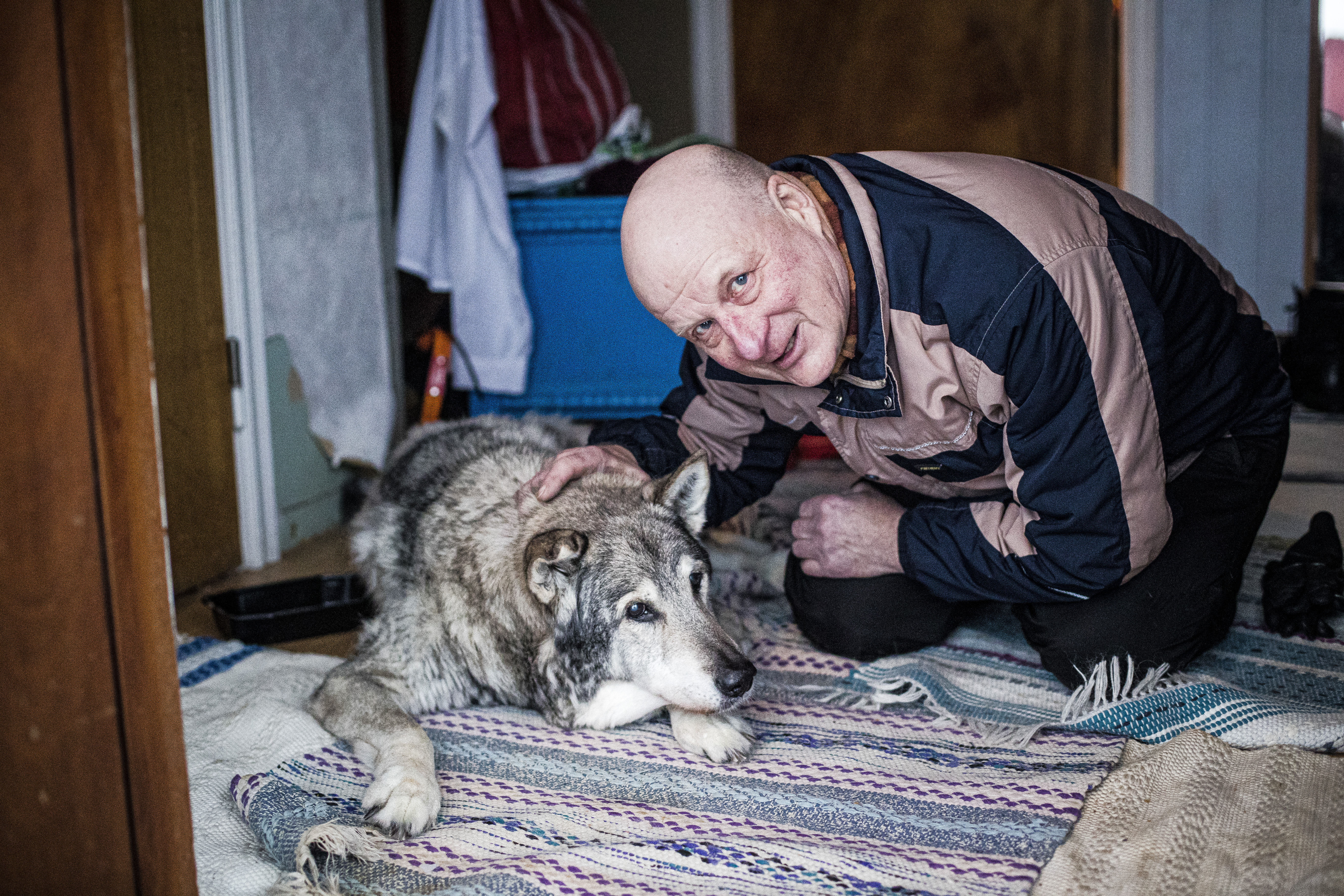 Vaarallinen tehtävä Tornionjoella – Pajalassa eläkepäiviään viettävä Jouni Puoskari huomasi koiran korvan liikahtavan, ja raadonhakureissu muuttui pelastustyöksi