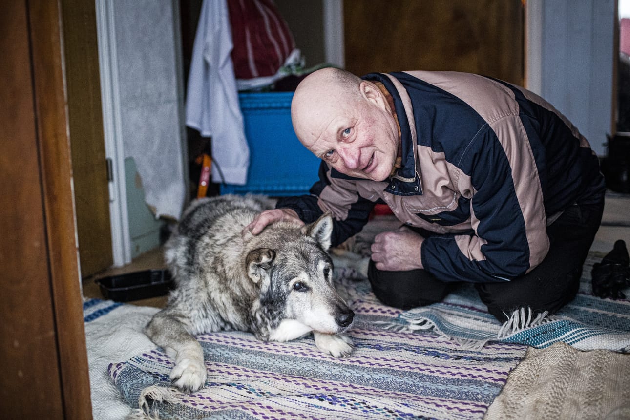 Eläkkeellä oleva metsätalousinsinööri Jouni Puoskari asuu mökillään Ruotsin Pajalassa toista talveaan. Maanantaina rauhalliseen eloon tuli jännitystä, kun Puoskari pelasti naapurien vanhan koiran Tornionjoen jäistä.
