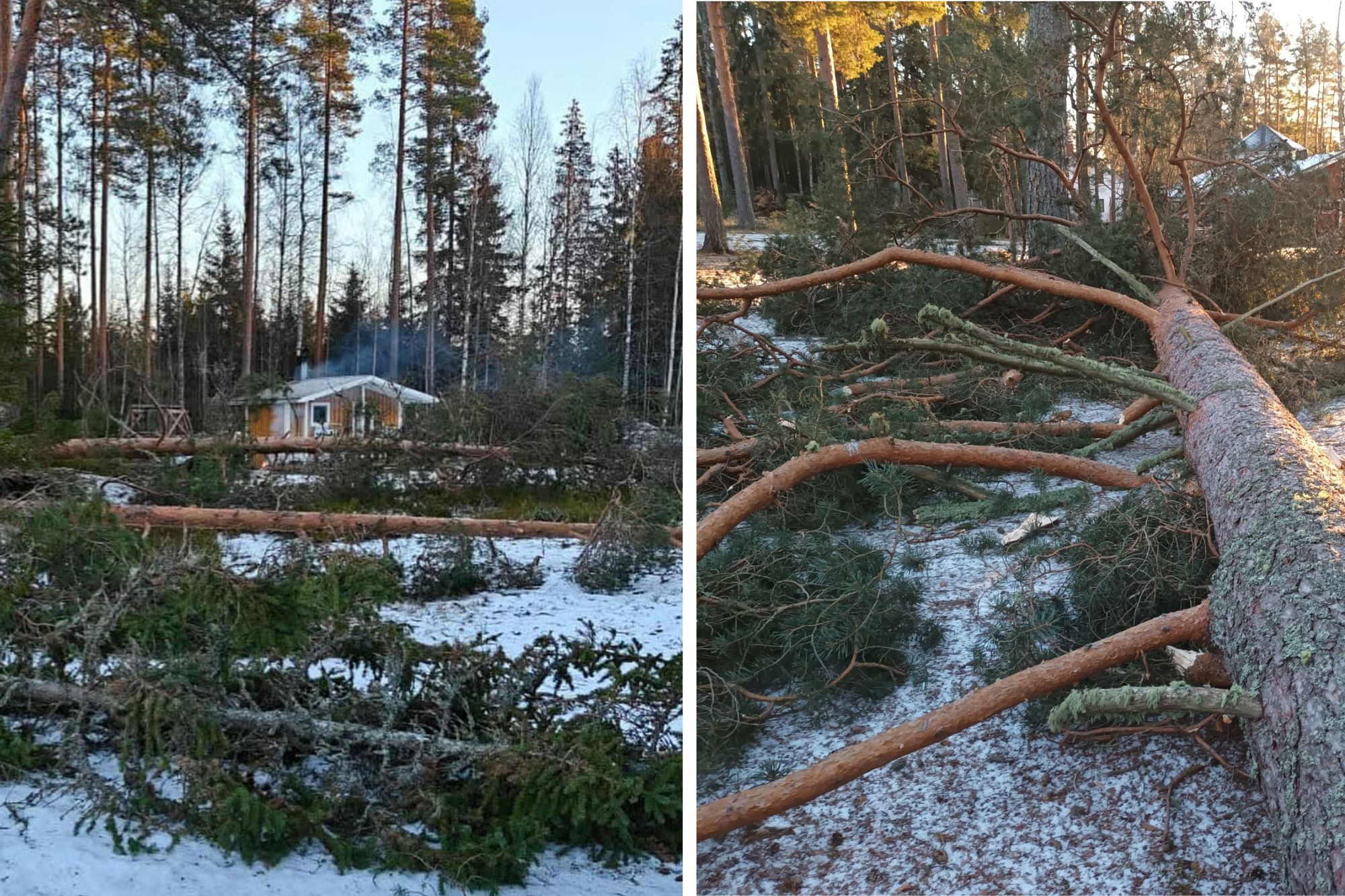Hannes-myrskyn aiheuttamat sähkökatkot jatkuvat Etelä-Pohjanmaalla – Kuortaneella koteja on edelleen ilman sähköä