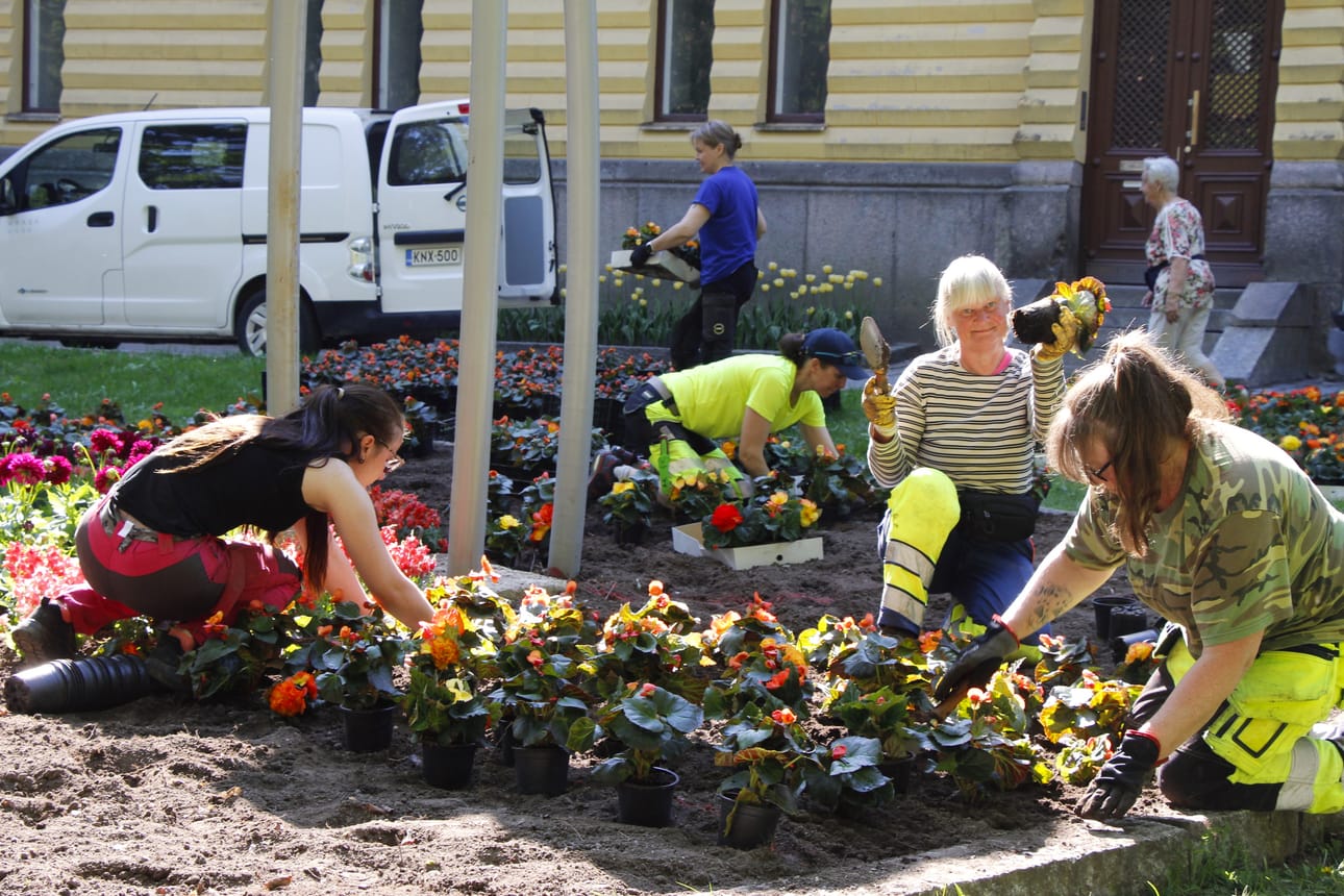 Mia Kivinen, Ann-Loise Södergård ja Anne-Maj Pellas istuttavat edustalla kesäkkia kaupungintalon kukkapenkkiin. Taaempana Ann-Karolin Södergård asettelee kukkia oikeille paikoilleen ja Niina Kuusela kantaa kukkalaatikoita.
