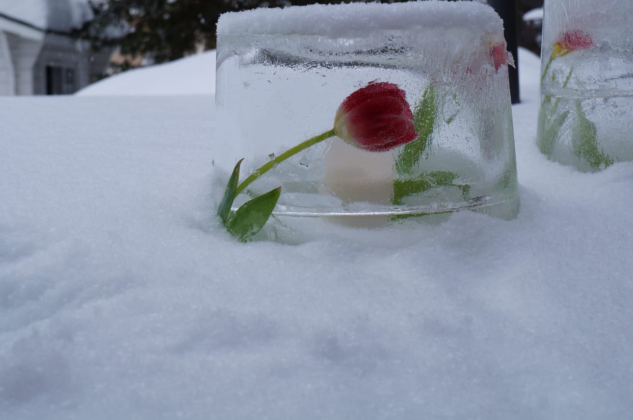 Lyhty jäätyy valmiiksi yleensä yön aikana.