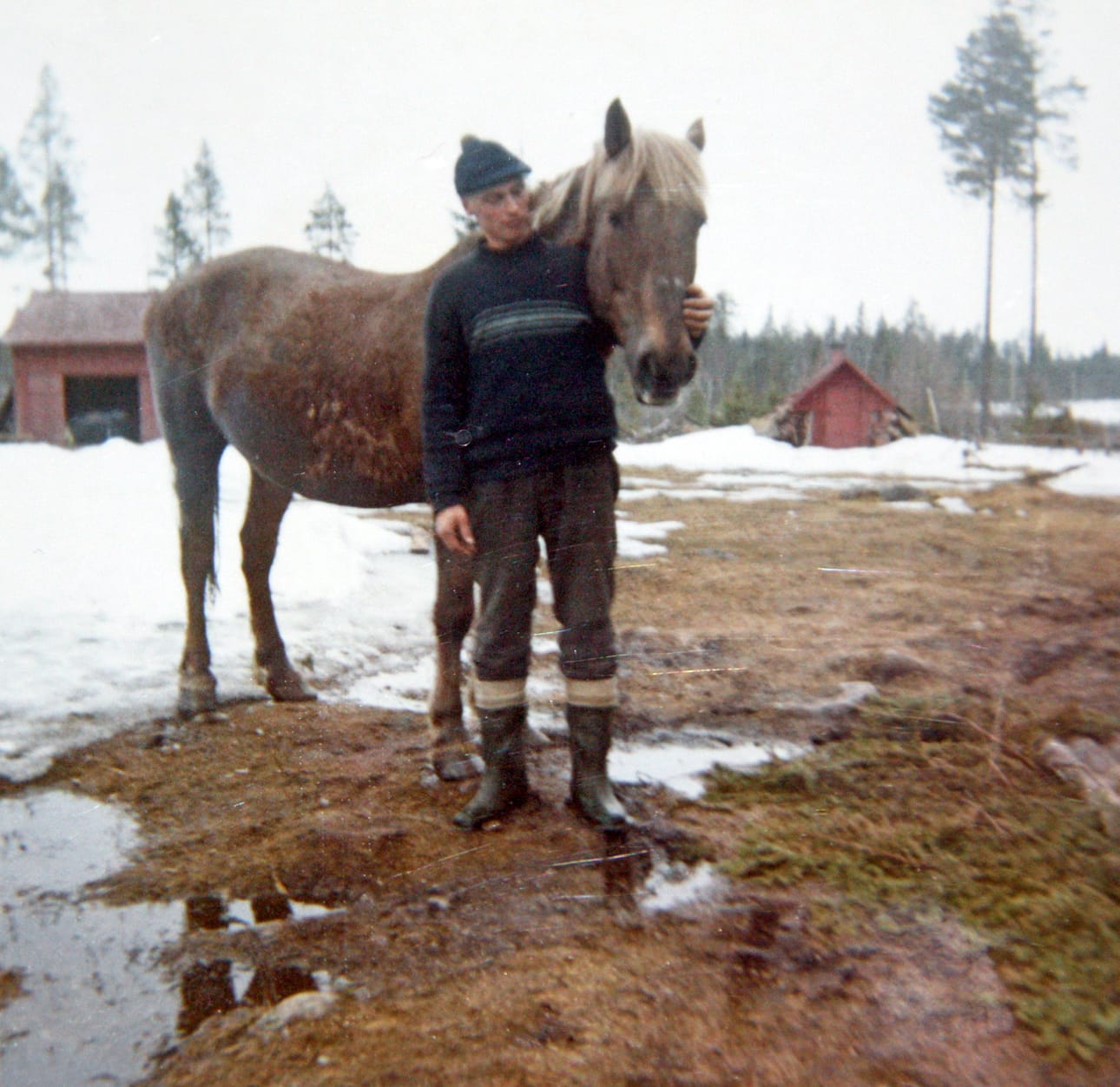 Nuori metsuri Urho Visuri ja Rippe-hevonen, joka oli Visurin veljesten apuna puunajossa 1960-luvulla.