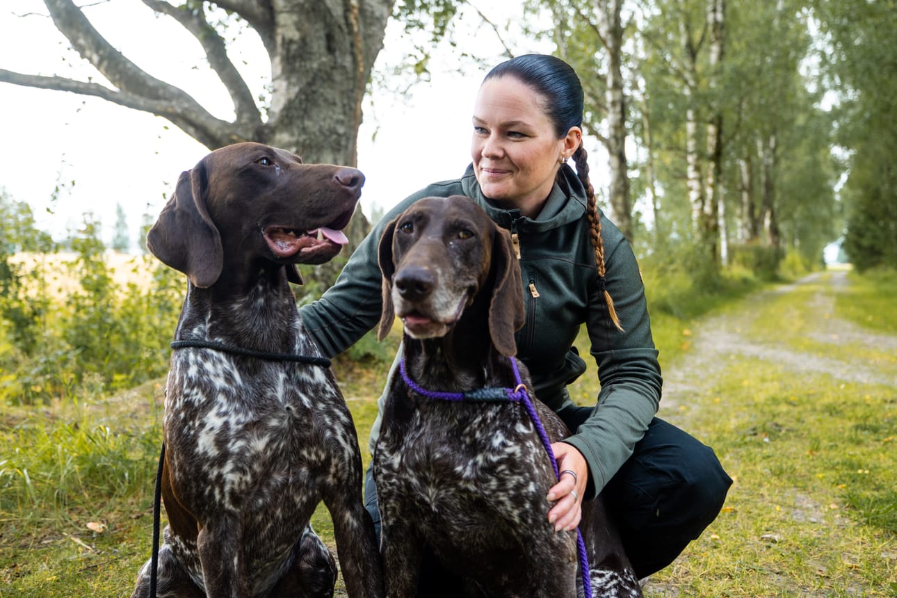 Saksanseisoja Kerttu (oikeanpuoleinen koira) on Marika Alangon silmäterä. Koira joutui synnytyksessä vakavaan tilaan, jossa toisen koiran veri pelasti sen hengen.