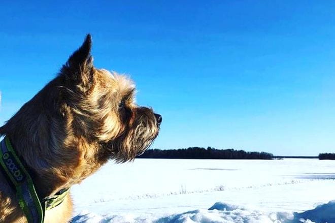 Uuno Turhapuro seisahtui ihailemaan näkymiä Kirkkorannassa. KUVA: SISKO KIVIAHO