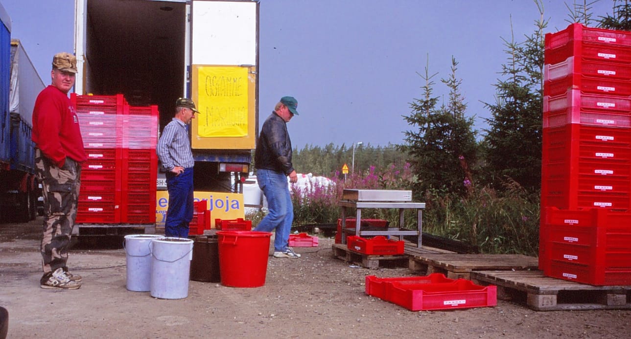 Vielä kaksi vuosikymmentä sitten marjanostajia riitti joka kylälle. Tässä mustikkasaaliit vaihtoivat omistajaa Sarakylässä kesällä 1996.