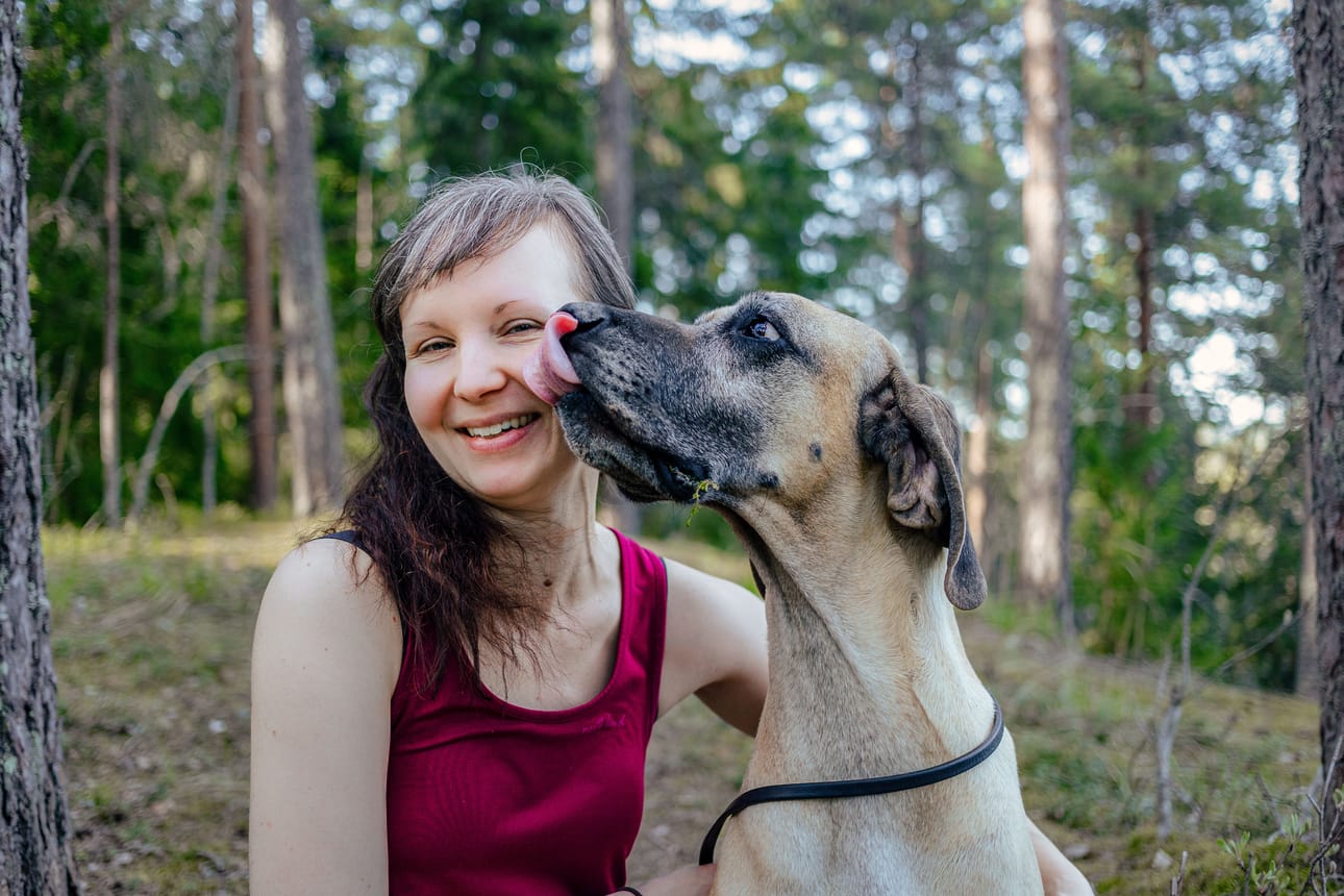 Koirien ja kissojen ravitsemukseen perehtynyt eläinlääkäri Sanna Immonen harmittelee, että raakaruokinnan ympärillä pyörivä keskusteluilmapiiri on äärimmäisen tulehtunut.