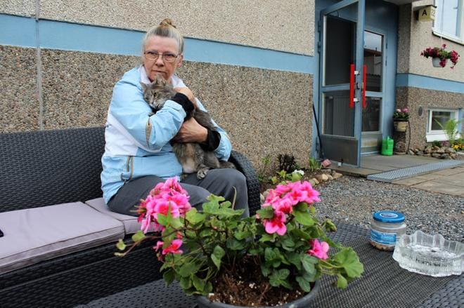Onni-Onerva on 7-vuotias sisäkissa, joka löytyi orpona. Sitä hoidettiin nesteytyksellä ja ruokittiin tuttipullolla. ‑ Naapurin lapsenlapset ristivät kissan Onniksi, olihan sillä onni myötä, kertoo Jaana Tammi. KUVA: MINNA ZILLIACUS