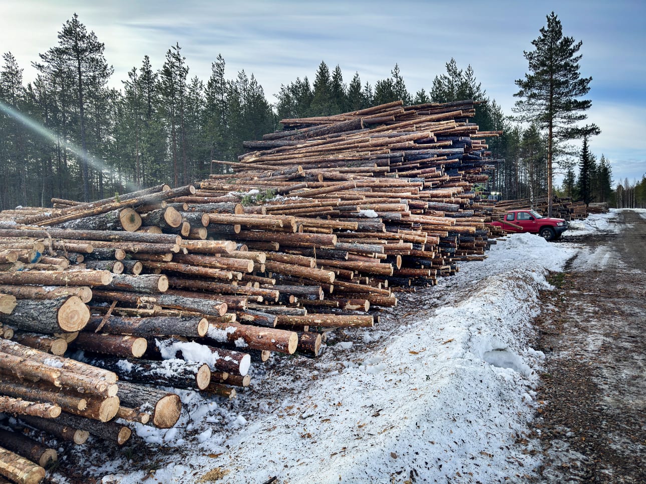 Lyhytkiertoviljelystä kokopuuna korjattua hakesatoa kaavailtiin aluksi tarjottavan metsäteollisuudelle, lyhytkuituisen massan keittoon. Kuvituskuva