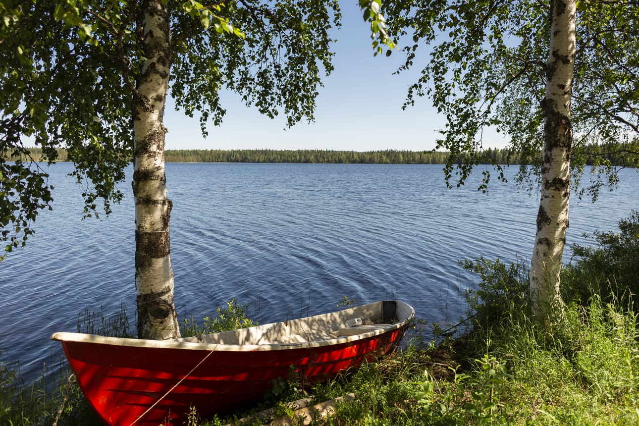 Metsäkylän asukkaista suurin osa on liittynyt vesiosuuskuntaan. Kuvituskuvassa on Metsäkylän Saarijärvi kesällä 2021.