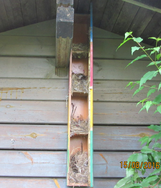 Lintujen kerrostalon sisätilat.