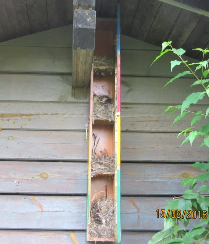 Lintujen kerrostalon sisätilat.