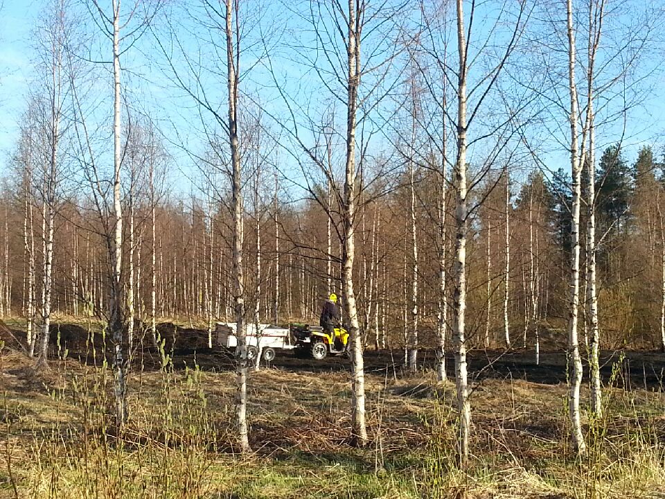 Palomies keräsi metsiköstä sammutusletkuja pois illansuussa.