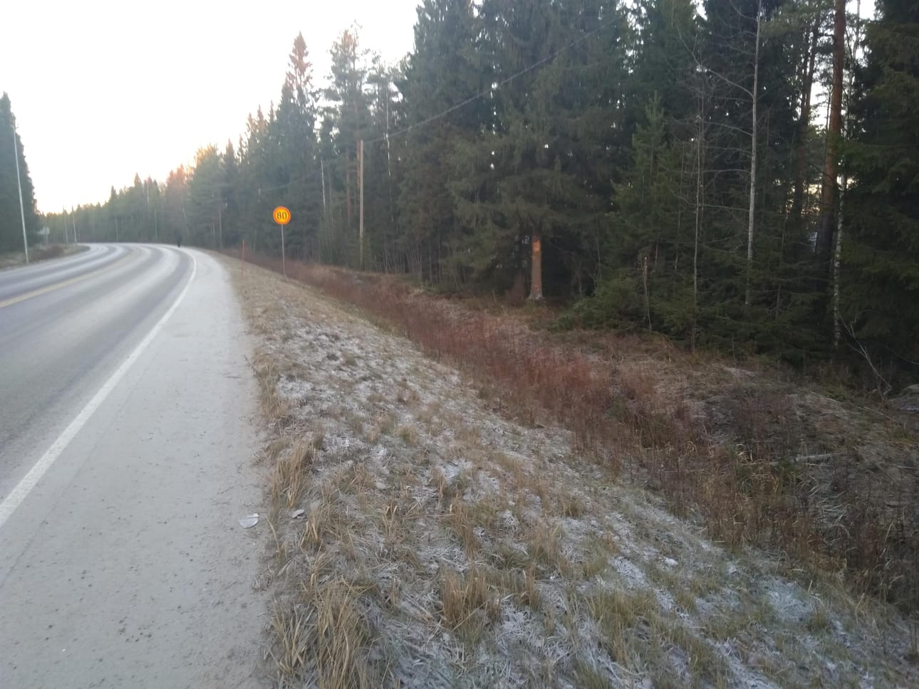 Auto osui tien laidassa olevaan kuuseen katto edellä.