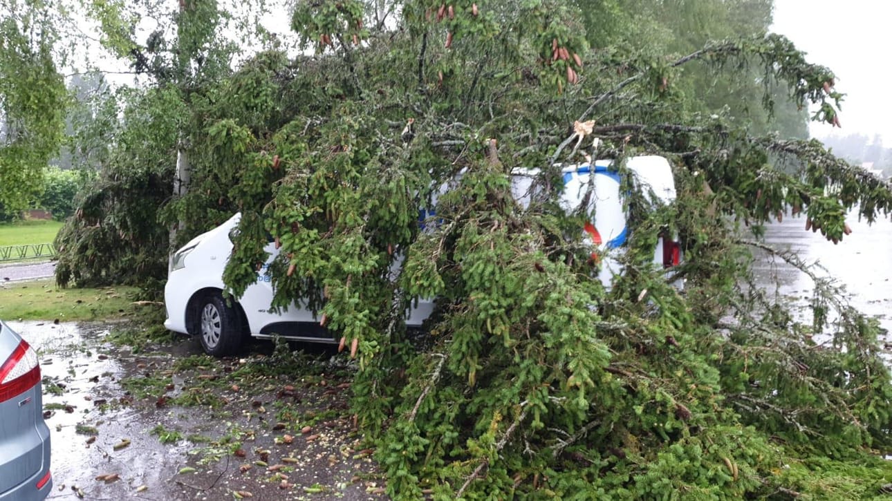 Pyhäjokiseudun lukija lähetti kuvan Oulaisten kirkon pihamaalta. Myrskytuuli kaatoi puun parkkipaikalle pysäköidyn auton päälle.