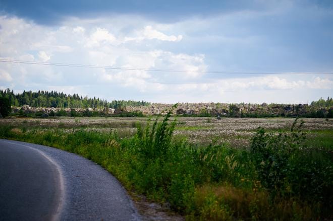Laajametsässä on jo tehty raivaustöitä akkumateriaalitehtaan työmaata varten. Päätös siitä, rakennetaanko tehdas vai ei, tulee todnenäköisesti syksyllä. Kuva: Samppa Toivonen