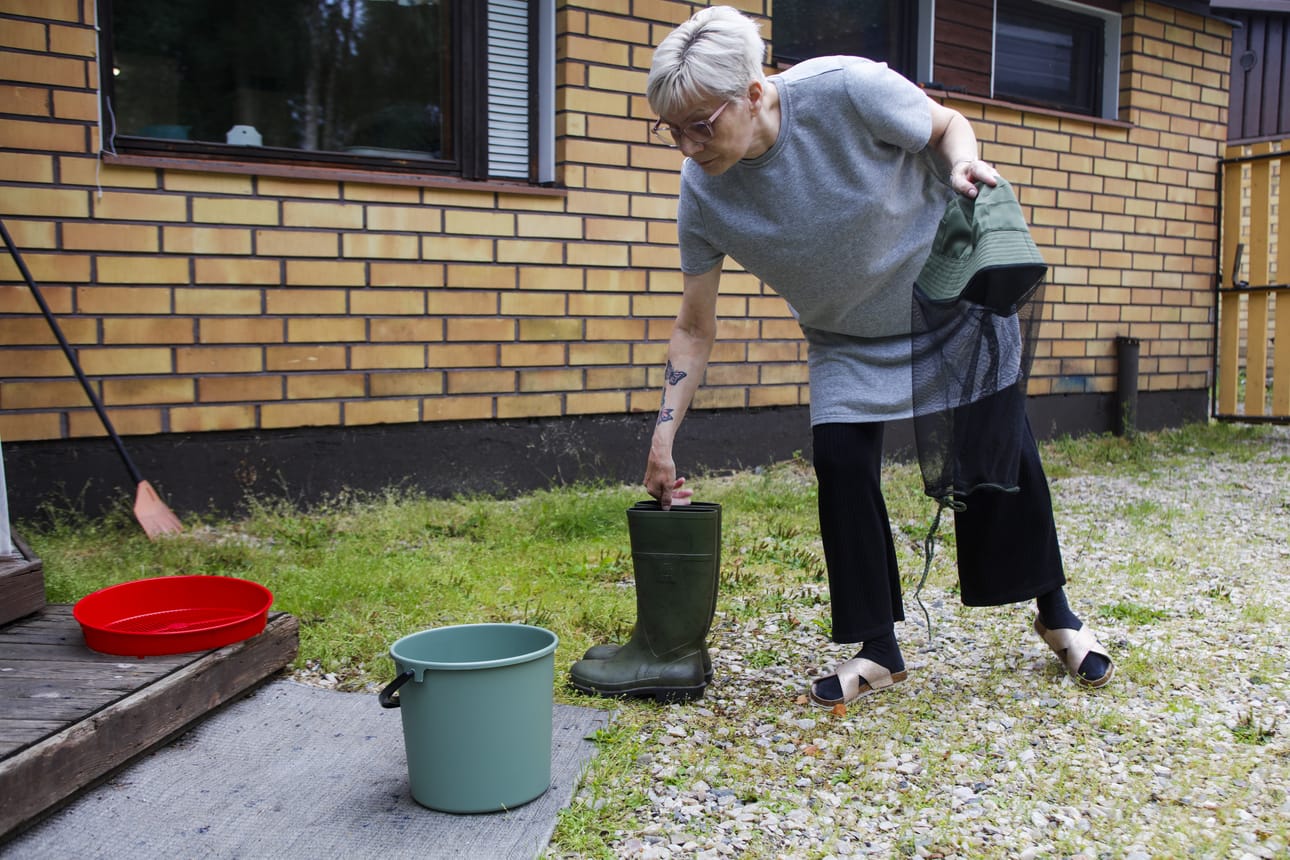 Kumisaappaat, sääskihattu, eväät ja ämpärit ovat vakiovarusteita, kun Merja Joensuu käy mustikkametsällä.