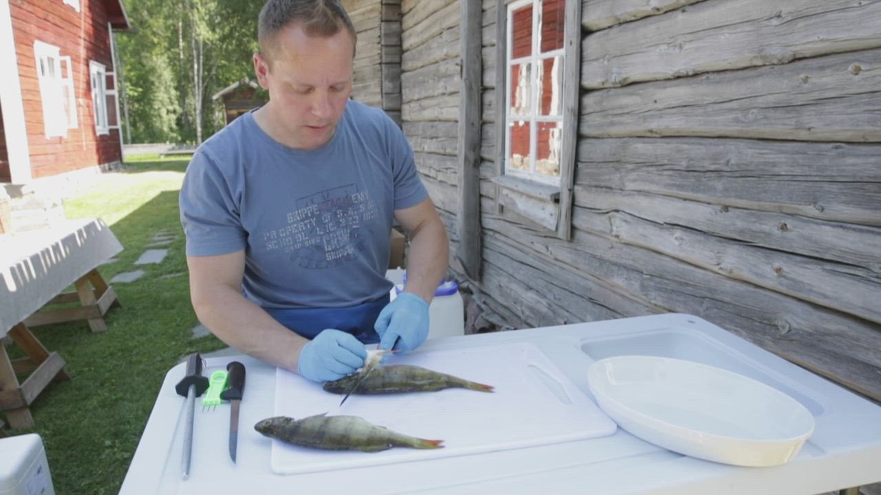 Kalamestari Pekka Huttunen neuvoo, miten ahven fileerataan