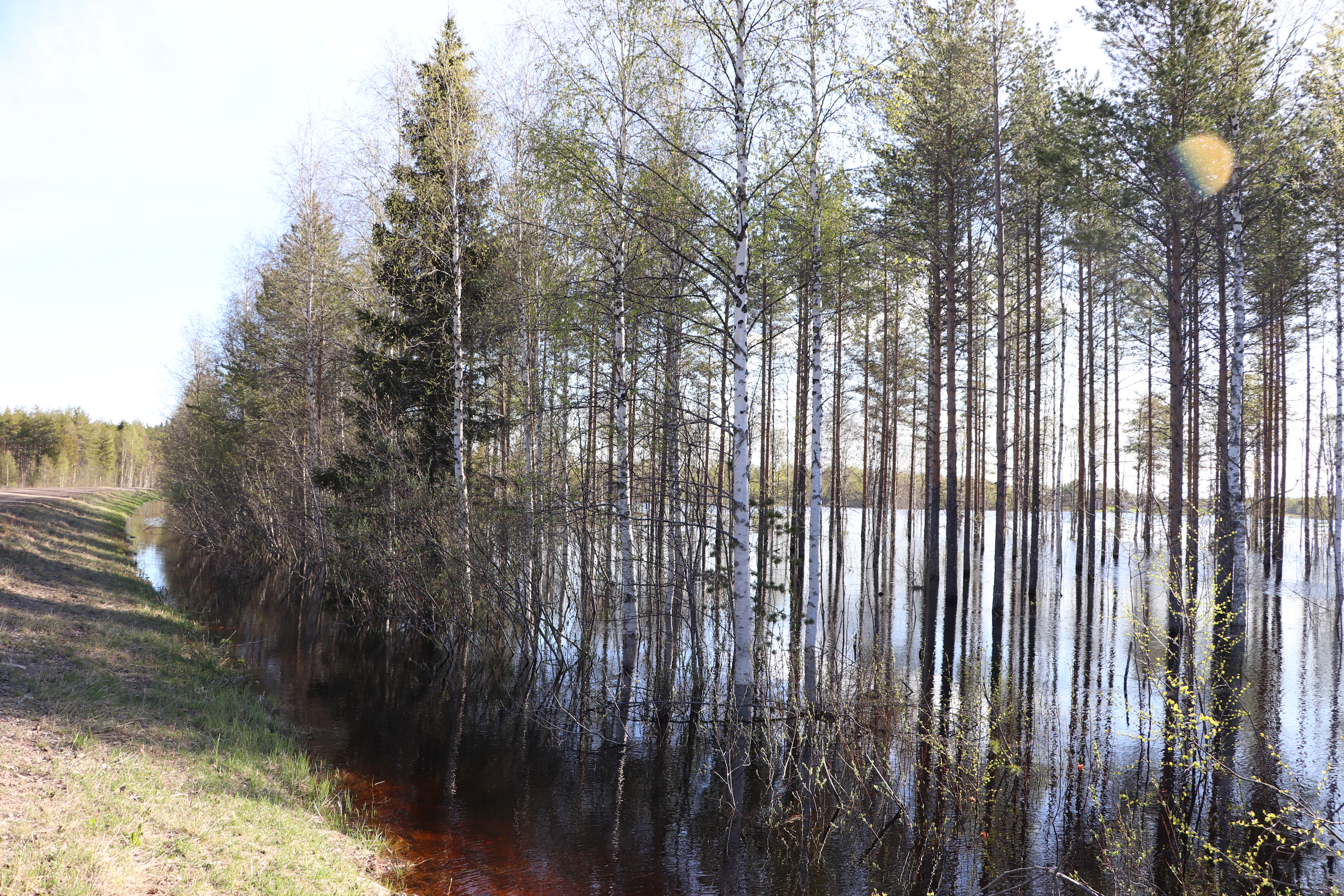 Petäjäkankaantien varresta Kollajalta. Kuva perjantailta.