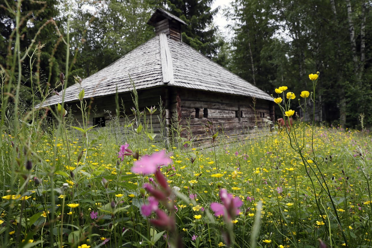 Juhannuksen sää on todennäköisesti kohtuullisen lämmin, mutta hieman epävakainen. Arkistokuva Turkansaaren ulkomuseon alueelta.