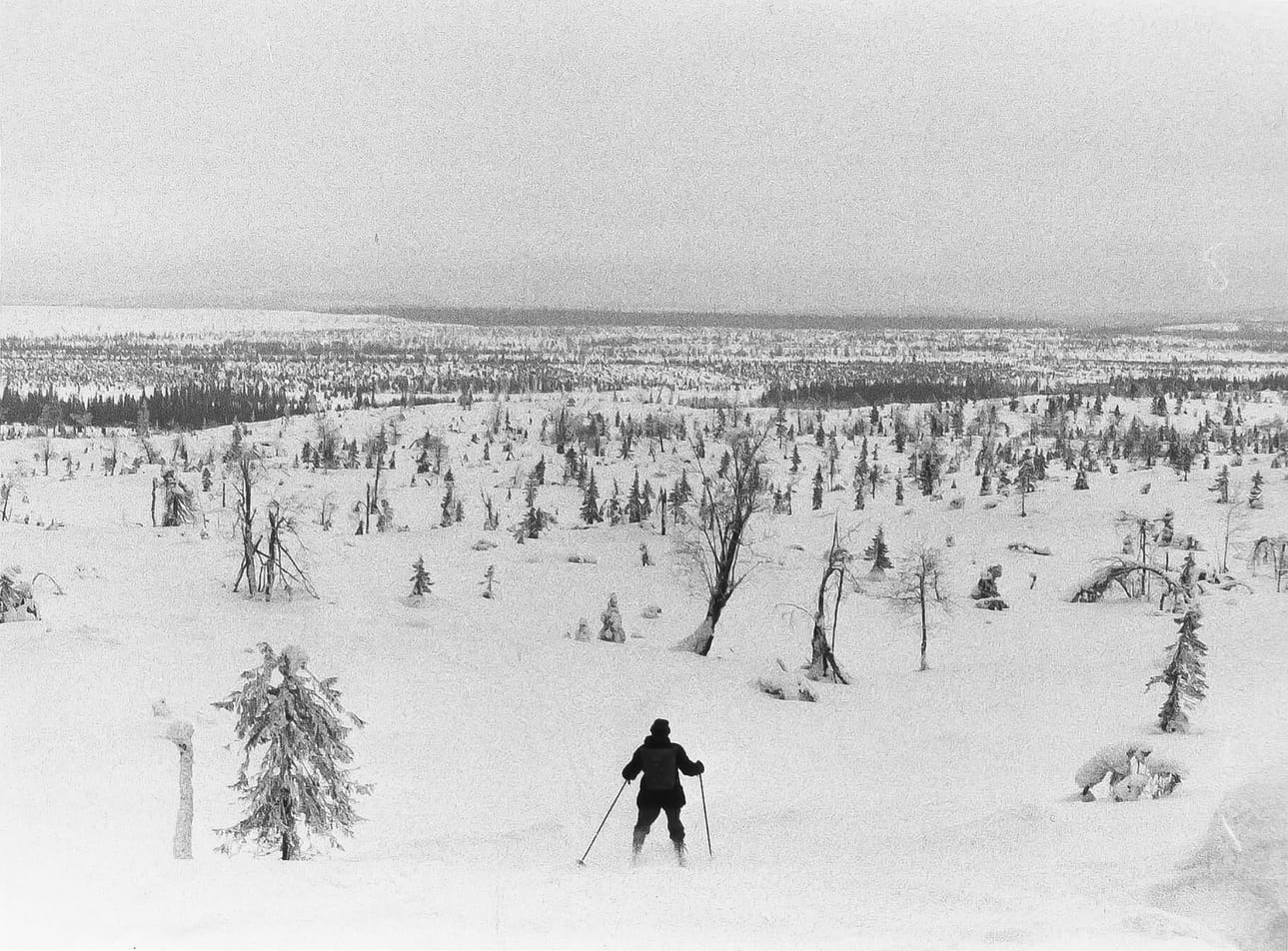 Luonnossa. Kuvan otti hiihtoretkellä Seppo-vävy.