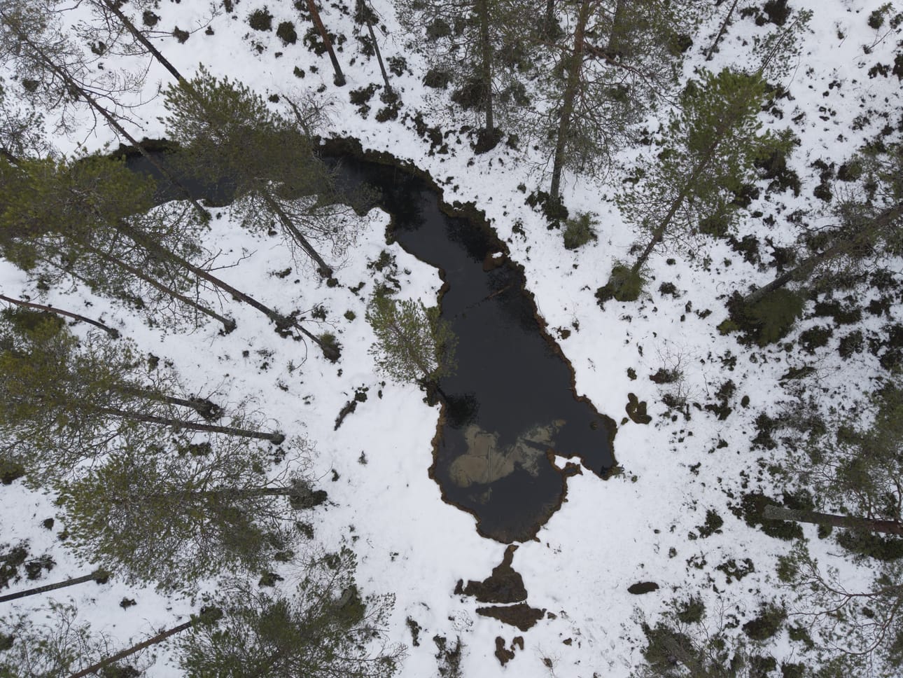 Viinivaaran lähdealue sijaitsee Pudasjärven ja Utajärven alueella.