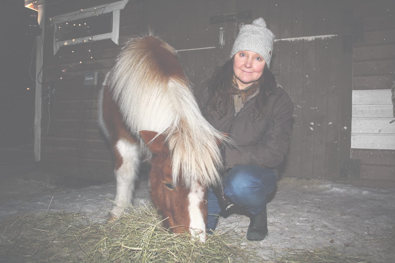 Shetlanninponi Pritney saa Pirjo Suvilehdon ja Sari Kanalan kirjassa ”Sitä joulua en unohda” oman runonkin. Se on lausuttu ääneen jo Pritneyn poniteatterin esityksissä.
