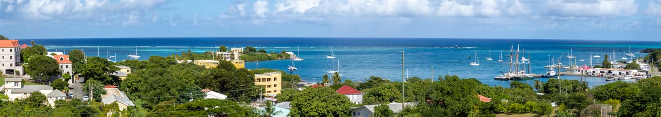 Näkymä kukkulalta Christianstedin satamaan ja merelle.