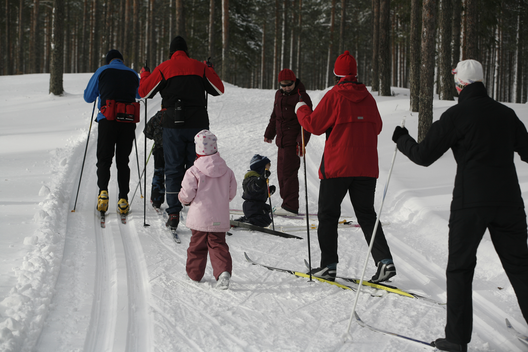 Sinkkihiihto hiihdetään Vihannissa parin vuoden tauon jälkeen, ladulle lähdetään viikon päästä sunnuntaina