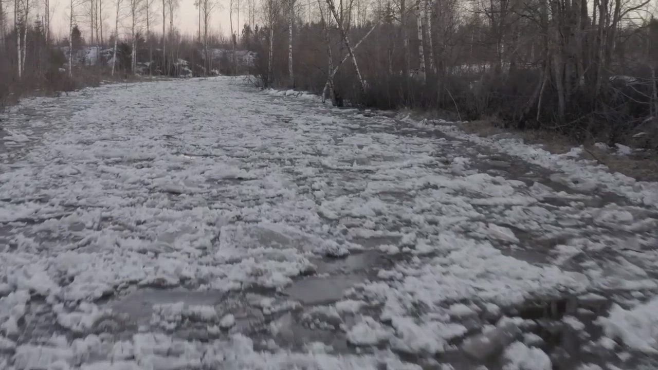 Jäät lähtivät Tyrnäväjoesta